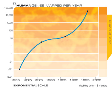 Количество человеческих генов, исследованных за год